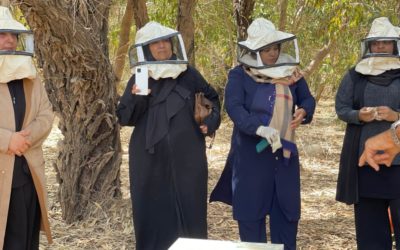 مكتب دعم وتمكين المرأة ينظم دورة تدريبية في الزراعة المنزلية بالشراكة مع جمعية الشجرة المباركة 