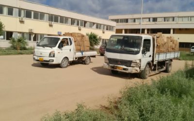 جامعة بنغازي تواصل تنفيذ خطة عودة الكليات إلى مقارها