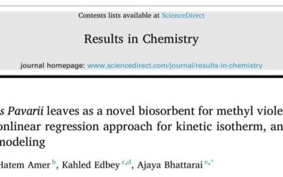 A PhD Student at the Department of Chemistry Achieves a New Scientific Milestone